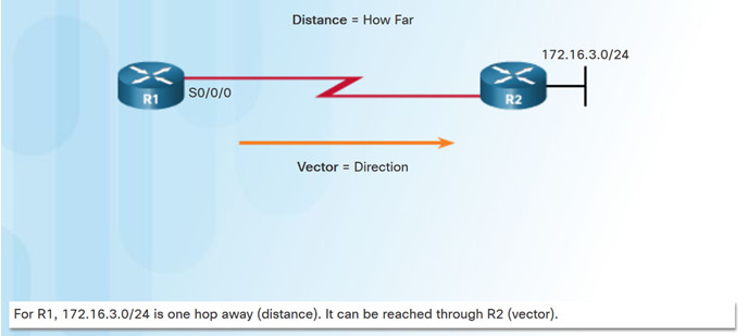 distance vector dynamic routing protocols